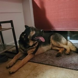 Meet your Posher, Handsel